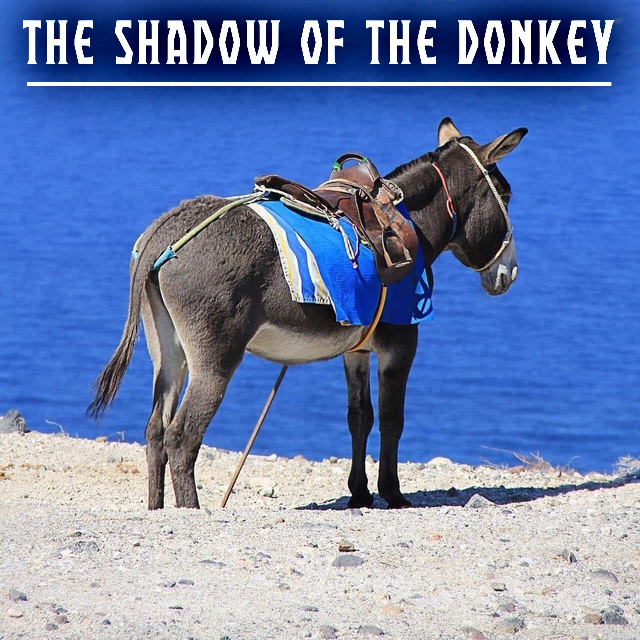 The Shadow of the Donkey
